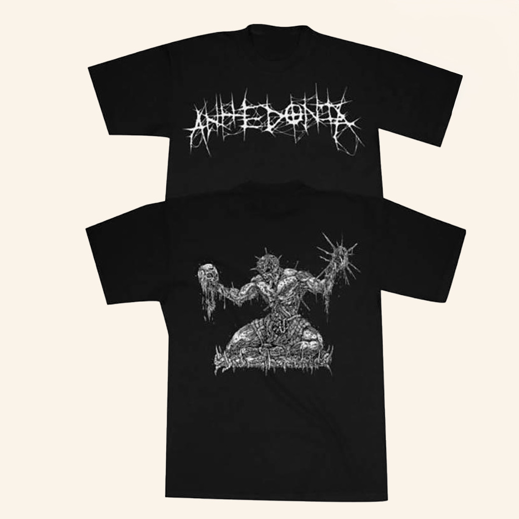 Petty Theft Records Merch Store Anhedonia Spirit Of Detroit Shirt Gifts For Brother