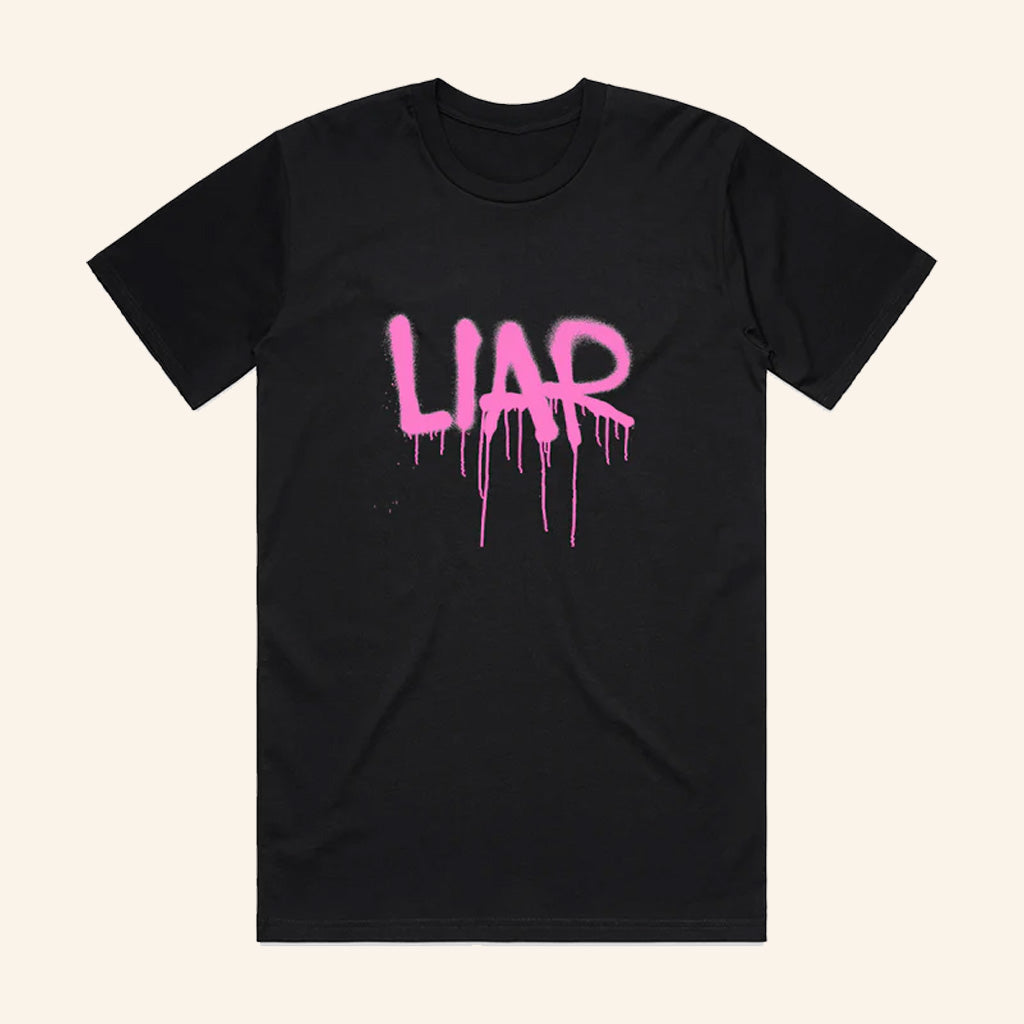 PinkPantheress Merch Boys A Liar T-Shirt Gift Ideas For Girlfriend