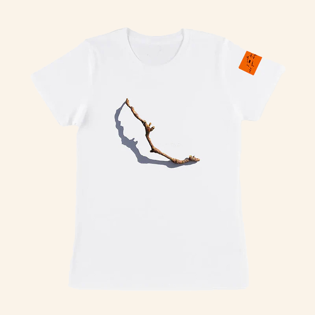 PJ Harvey Merch I Inside the Old Year Dying White T-Shirt Gifts For Music Enthusiasts