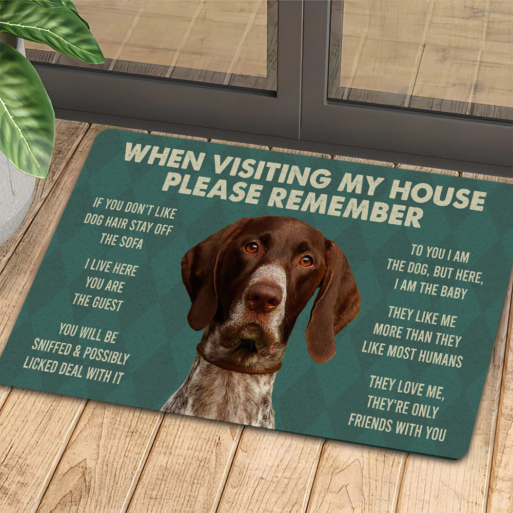Pointers Dogs Doormat Please Remember I Live Here Gift For Dog Lovers Housewarming Gift Dog Decor