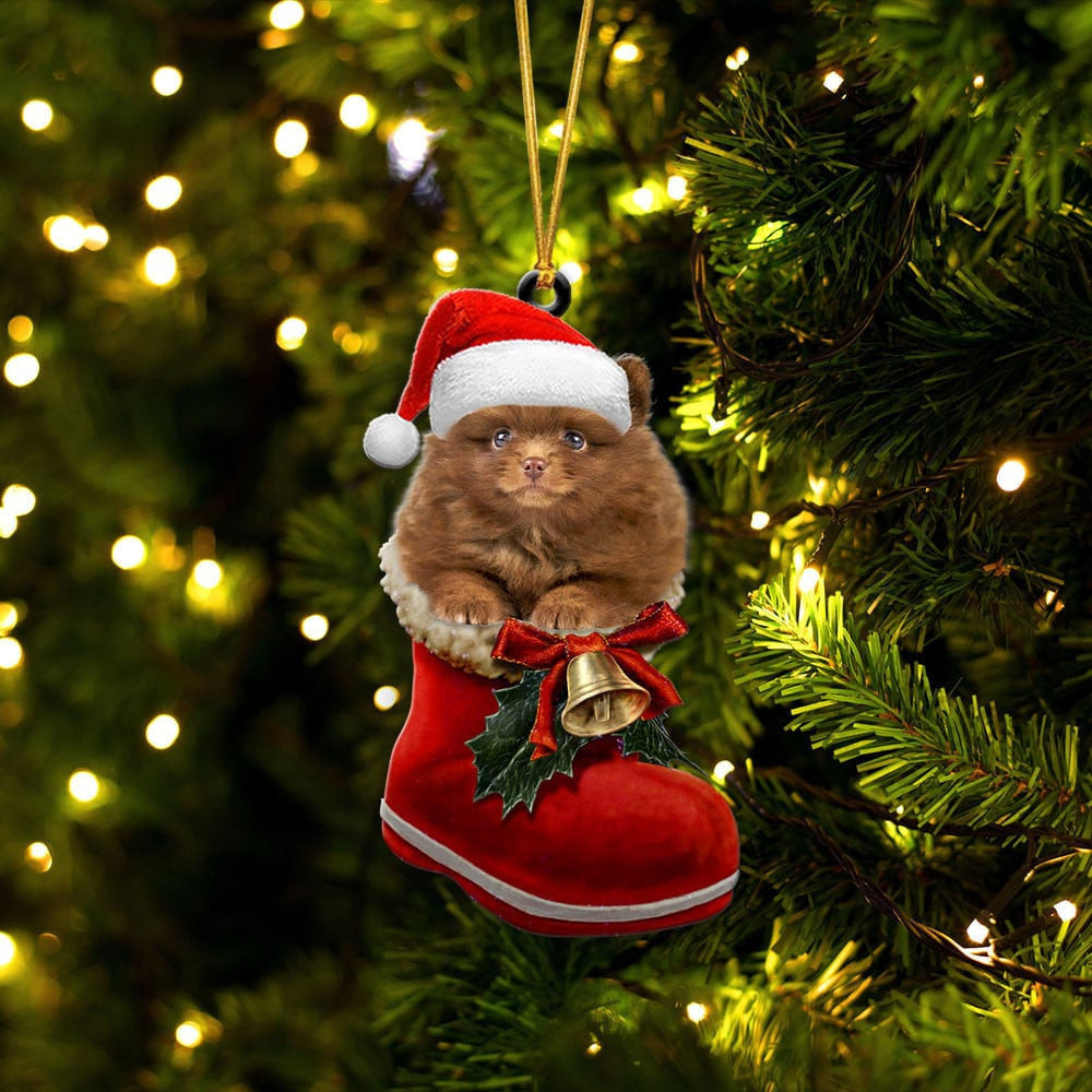 Pomeranian In Santa Boot Christmas Two Sided Ornament