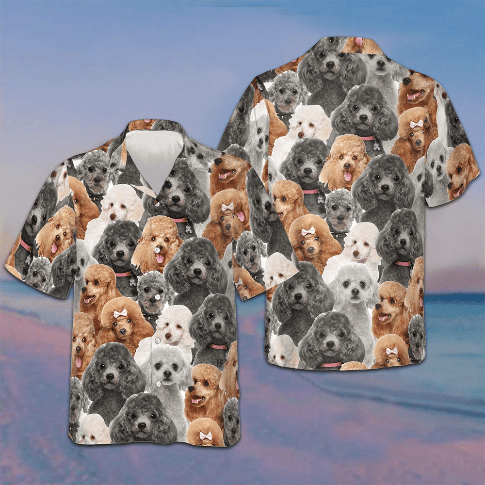 Poodles In Different Colors Hawaiian Shirt Mens Beach Button Up Gifts For Dog Owners Poodles In Different Colors Hawaiian Shirt Mens Beach Button Up Gifts For Dog Owners