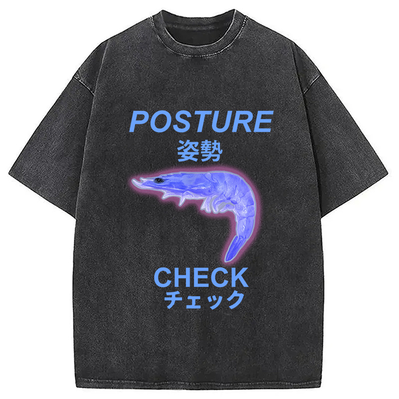 Posture Check Washed T-Shirt Casual Vintage Everyday Look Gifts For Sister