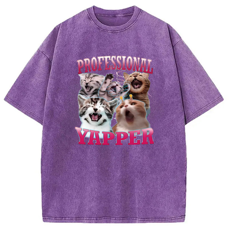 Professional Yapper Cat Washed T-Shirt Funny Quote Unisex Shirt Gifts For BFF