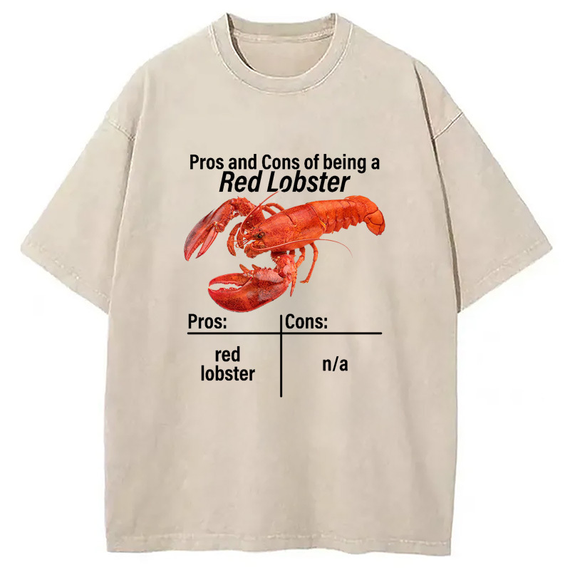 Pros And Cons Washed T-Shirt Cool Graphic Tee For Men Women Gifts For BFF Pros And Cons Washed T-Shirt Cool Graphic Tee For Men Women Gifts For BFF