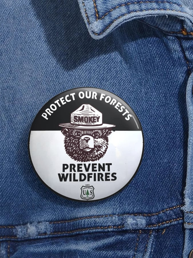 Protect Our Forest Prevent Wildfires Pinback Rebuilding The USFS Merch Gift For Men