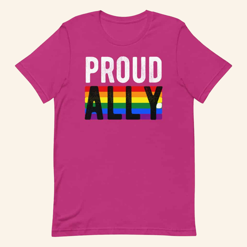 Proud Ally Pride Human Rights Campaign T-Shirt Gifts For Best Friends