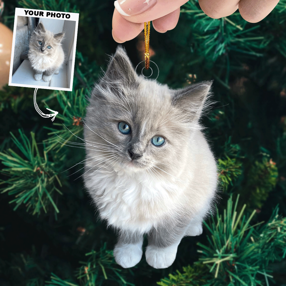 Purrfect Holiday Personalized Photo Mica Ornament Christmas Gift For Pet Lovers Dog Lo