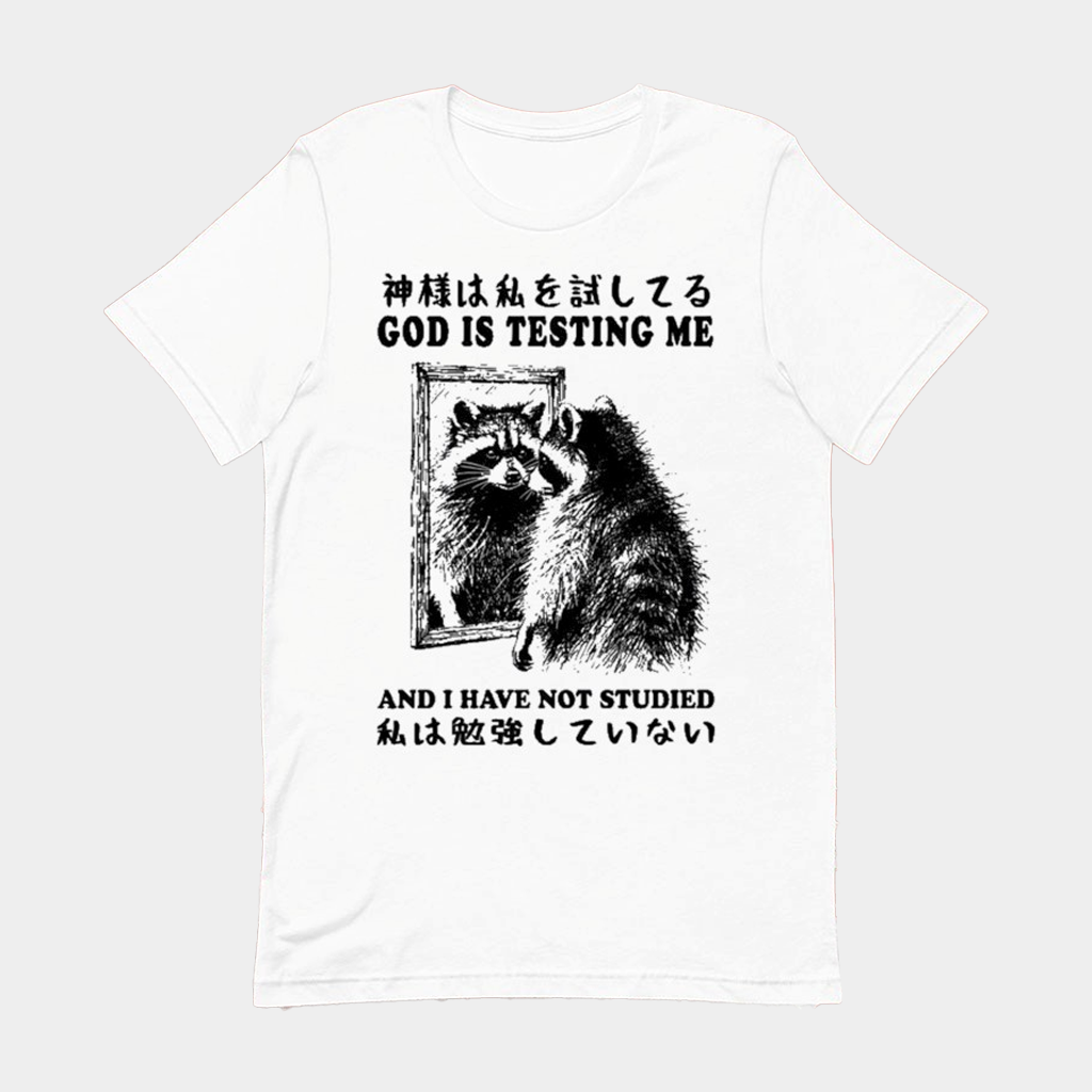 Raccoon God Is Testing Me And I Have Not Studied T-Shirt Gifts For Son