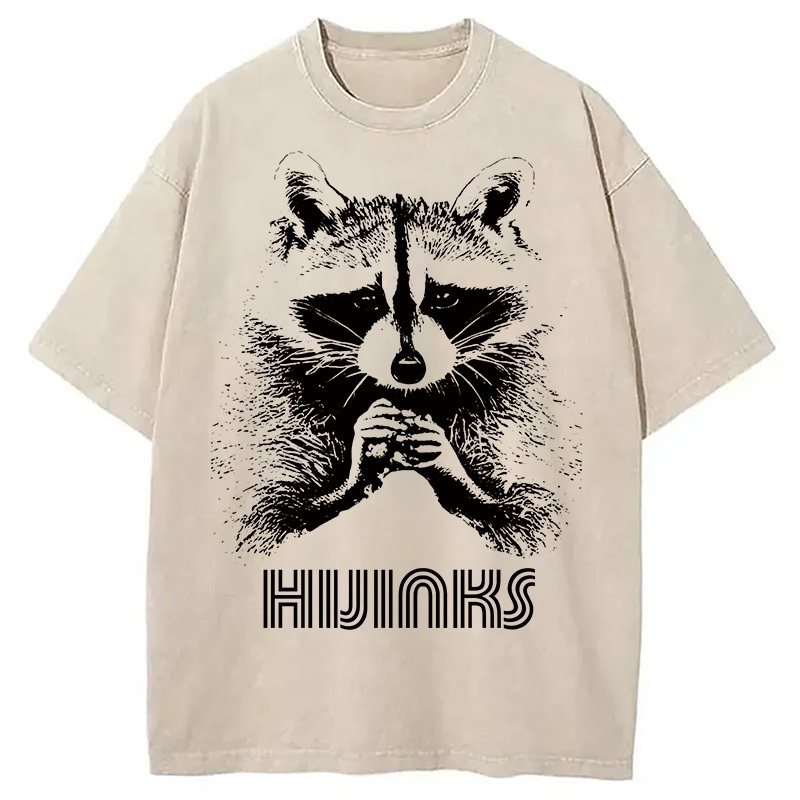 Raccoon Hijinks Washed T-Shirt Funny Aesthetic Trendy Apparel Gifts For BFF