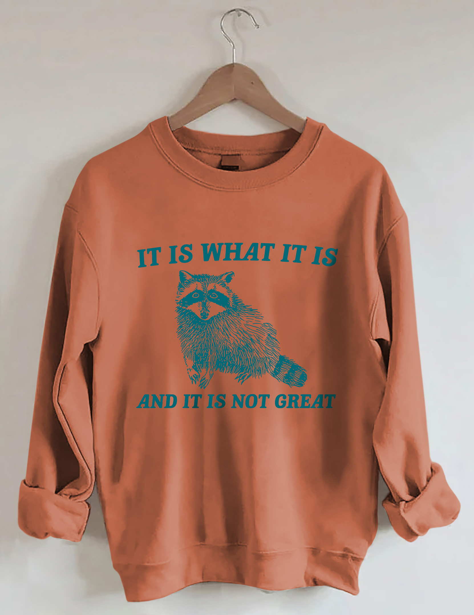 Raccoon It Is What It Is And It Is Not Great Sweatshirt Animal Themed Funny Sweatshirt Gifts