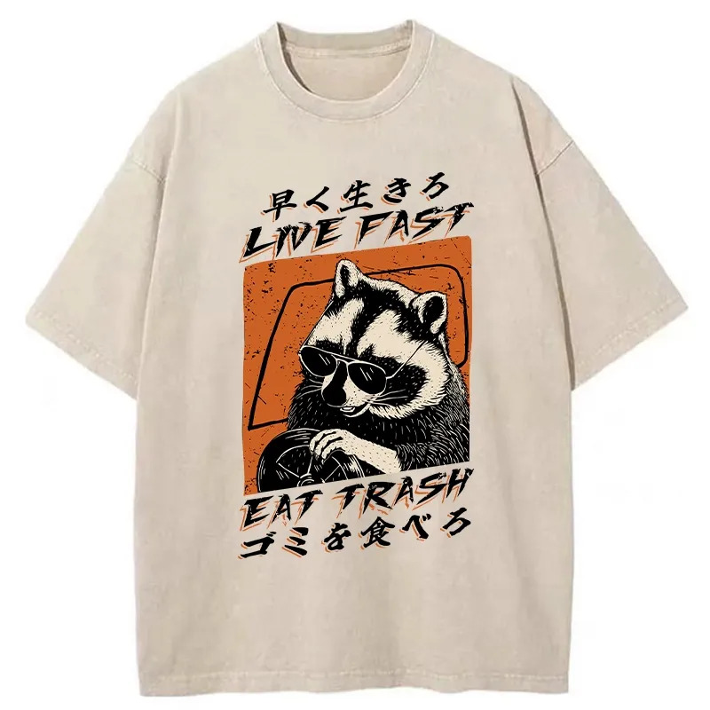 Raccoon Live Fast Eat Trash Washed T-Shirt Casual Vintage Everyday Look Gifts For Brother
