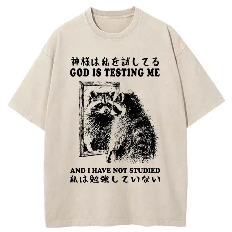 Raccoon Not Studied Washed T-Shirt Retro Streetwear Graphic Top Gifts For Brother