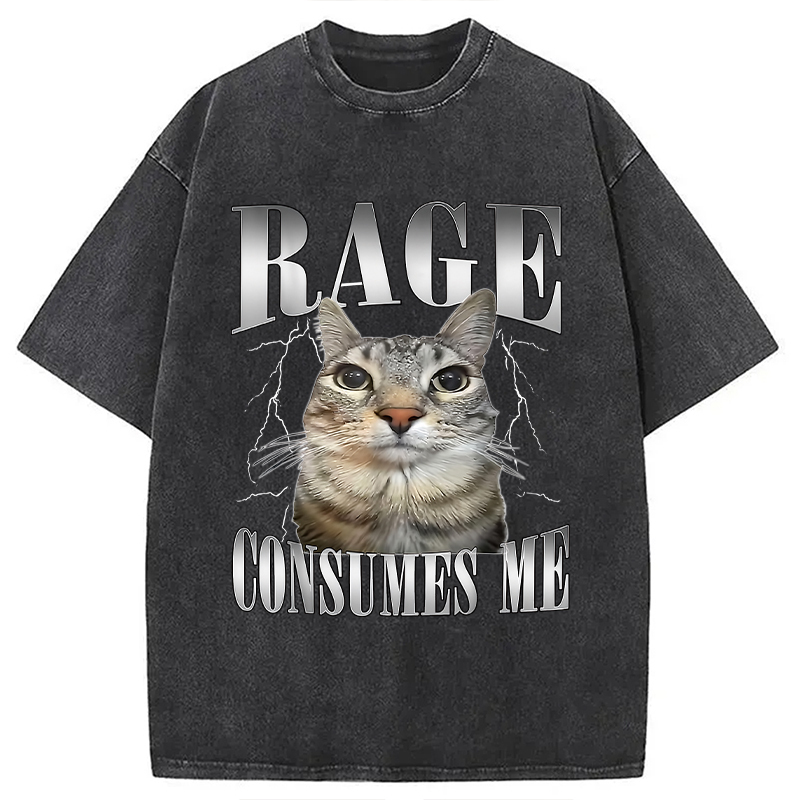 Rage Consumes Me Funny Cat Washed T-Shirt Trendy Aesthetic Graphic Apparel Gifts For Friends