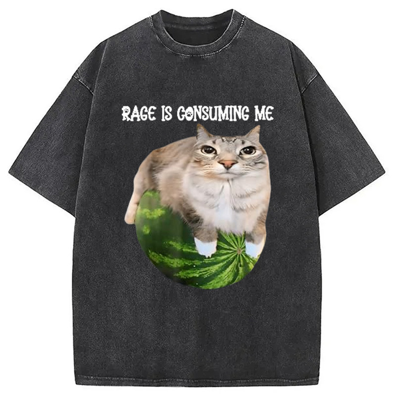 Rage Is Consuming Me Cat Meme Washed T-Shirt Trendy Aesthetic Graphic Apparel Gifts For Her Rage Is Consuming Me Cat Meme Washed T-Shirt Trendy Aesthetic Graphic Apparel Gifts For Her