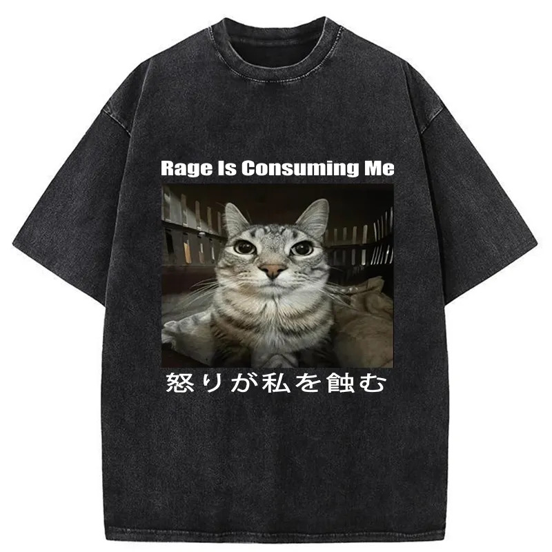 Rage Is Consuming Me Japan Washed T-Shirt Soft Comfortable Daily T Shirt Gifts For Brother