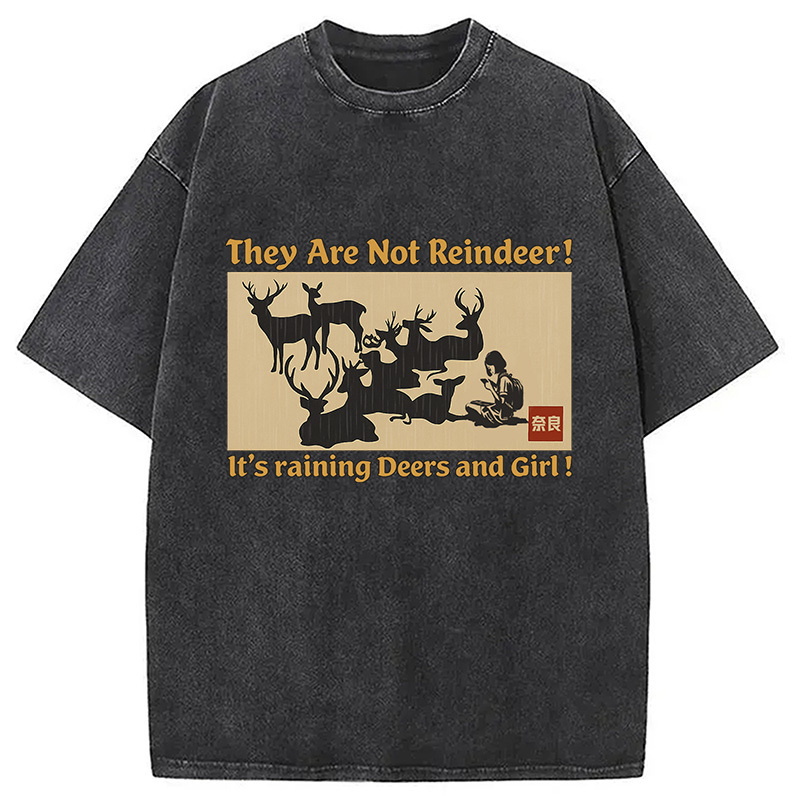 RAIN DEER is not REINDEER Washed T-Shirt Minimal Retro Graphic Clothing Gifts For Brother