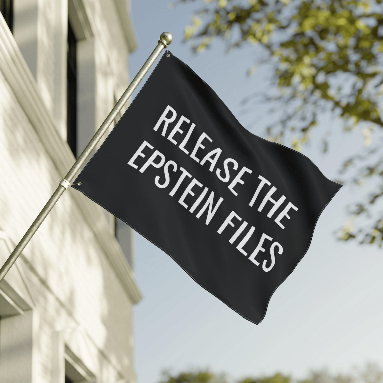 Release the Epstein Files Flag Black Protest Banner Political Statement Outdoor Flag