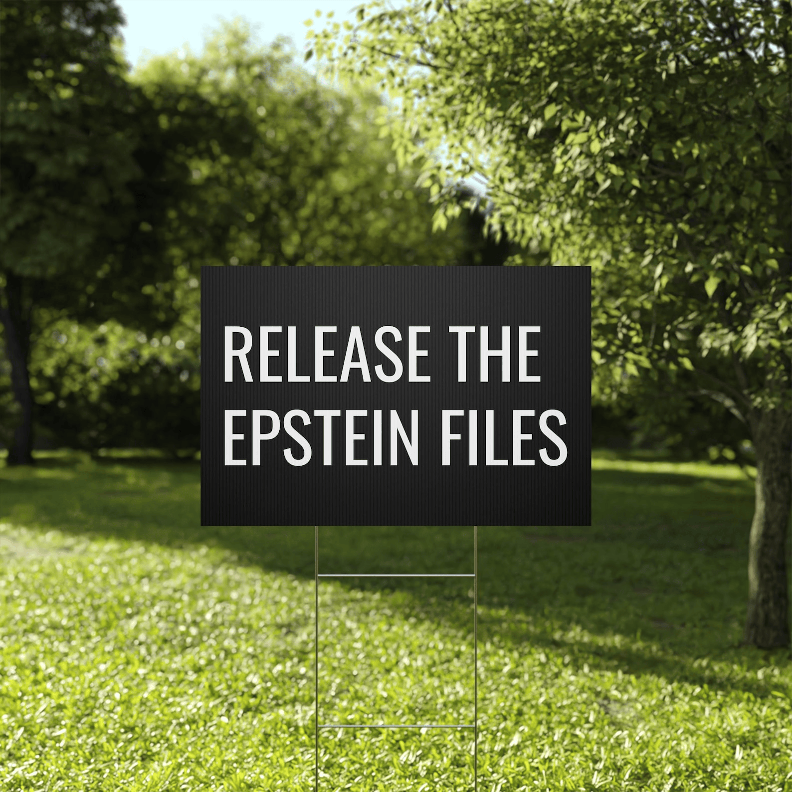 Release the Epstein FilesYard Sign Anti Trump Lawn Sign Political Gift for Democrats