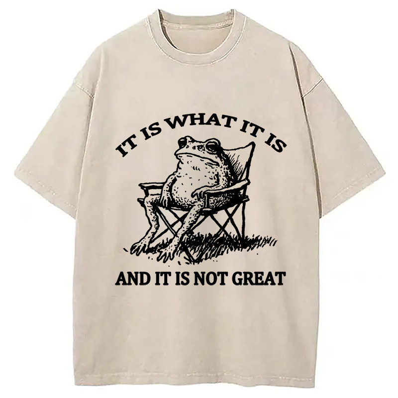 Resting Frog Funny Washed T-Shirt Trendy Everyday Casual Outfit Gifts For Brother