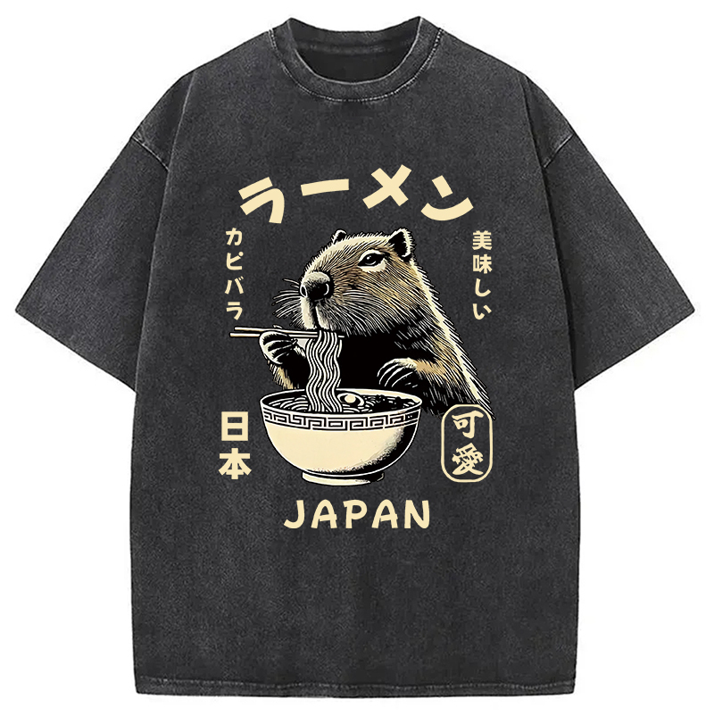 Retro Capybara Eating Ramen Japanese Washed T-Shirt Retro Humor Graphic Top Gifts For Sister