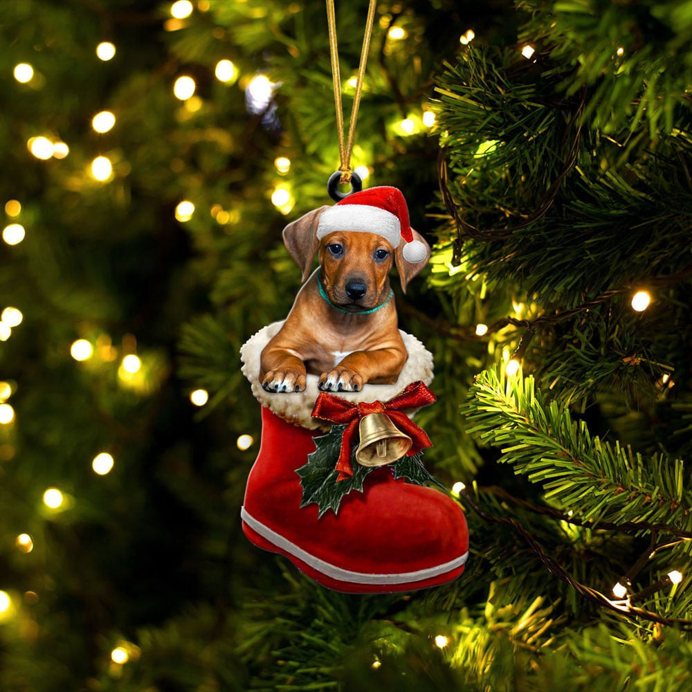 Rhodesian Ridgeback In Santa Boot Christmas Two Sided Ornament