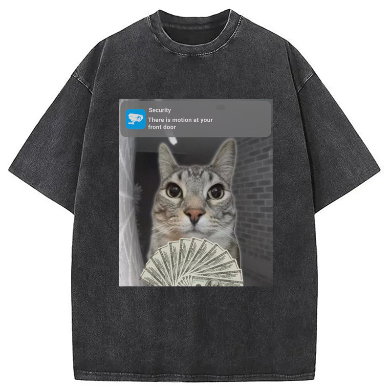 Ring Cat with Motion Meme Washed T-Shirt Trendy Aesthetic Graphic Apparel Gifts For BFF