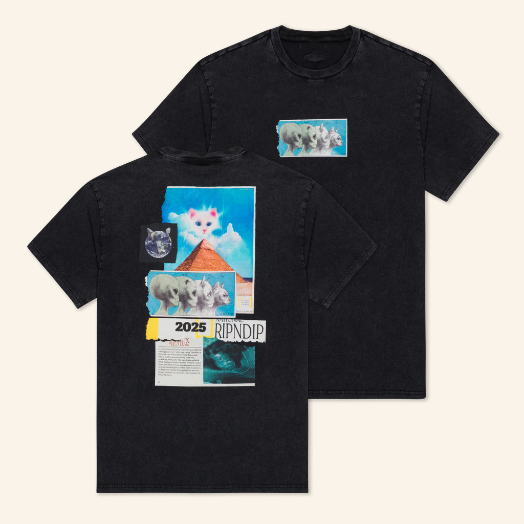 Ripndip Merch Nerm Geo Black Wash T-Shirt Christmas Gift Ideas For Friends Ripndip Merch Nerm Geo Black Wash T-Shirt Christmas Gift Ideas For Friends