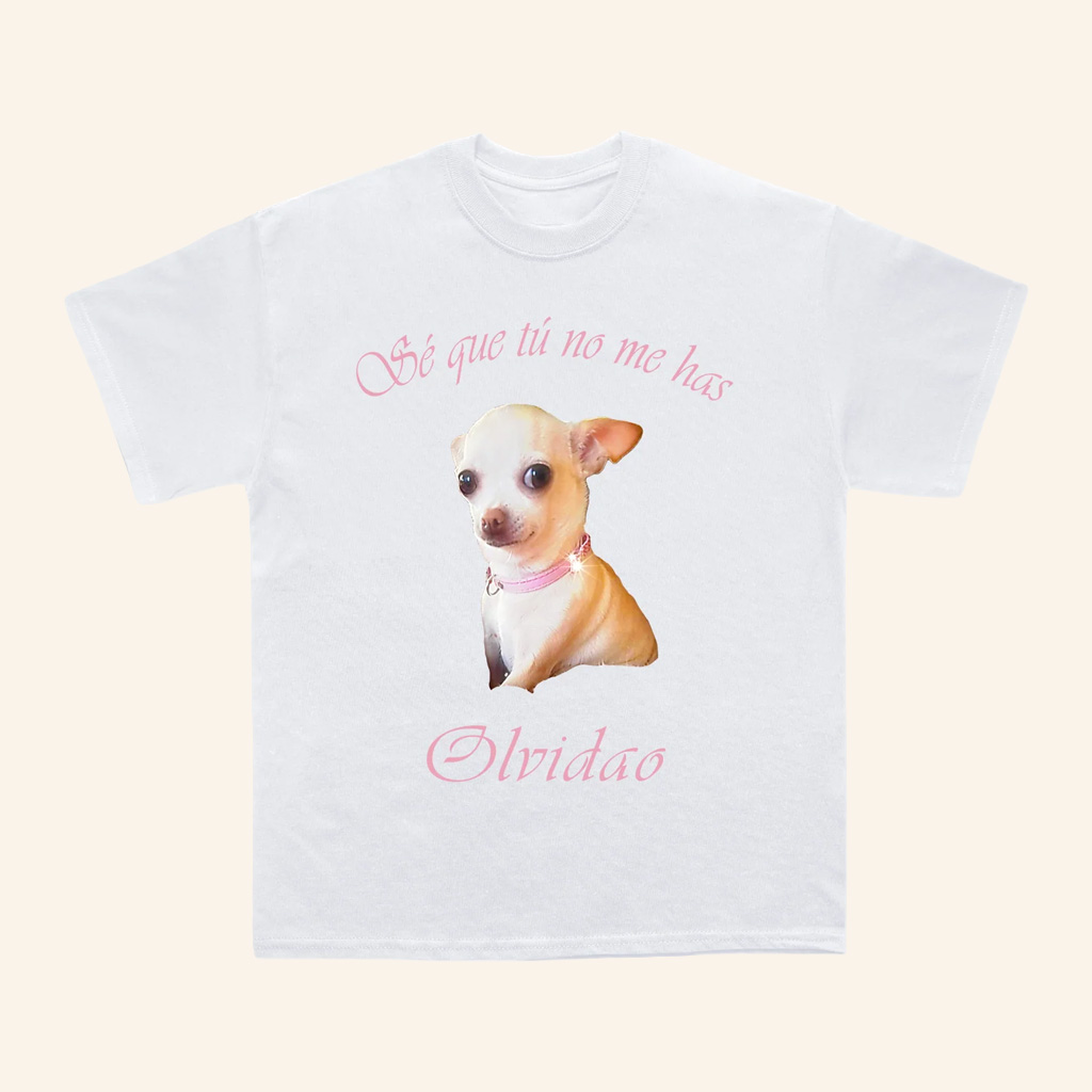 Rosalia Merch Mochi Dog T-Shirt Se Que Tu No Me Has Shirt Gifts For Besties Rosalia Merch Mochi Dog T-Shirt Se Que Tu No Me Has Shirt Gifts For Besties