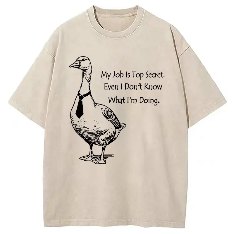 Serious Goose Funny Washed T-Shirt Funny Quote Unisex Shirt Gifts For Brother Serious Goose Funny Washed T-Shirt Funny Quote Unisex Shirt Gifts For Brother
