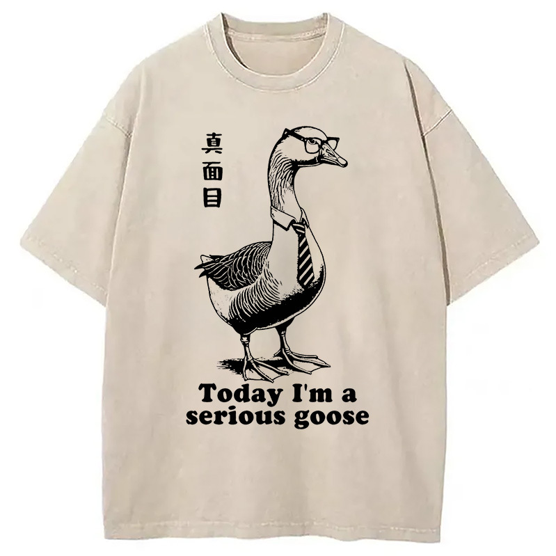 Serious Goose Washed T-Shirt Casual Vintage Everyday Look Gifts For Besties Serious Goose Washed T-Shirt Casual Vintage Everyday Look Gifts For Besties