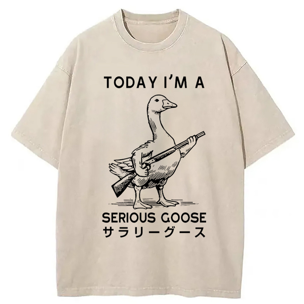 Serious Stupid Goose Washed T-Shirt Casual Oversized Outfit Style Gifts For Besties