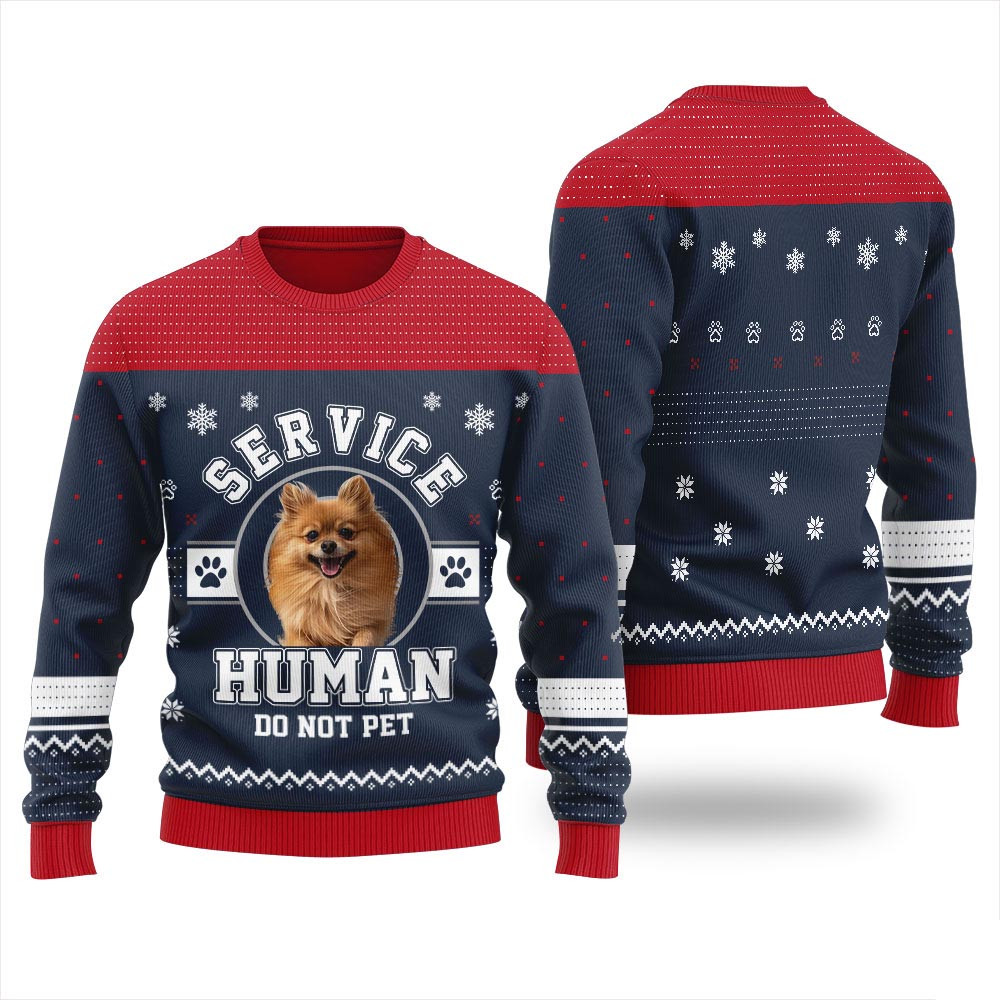 Service Human Do Not Pet Custom Dog Christmas Sweater Cute Sweaters For Christmas