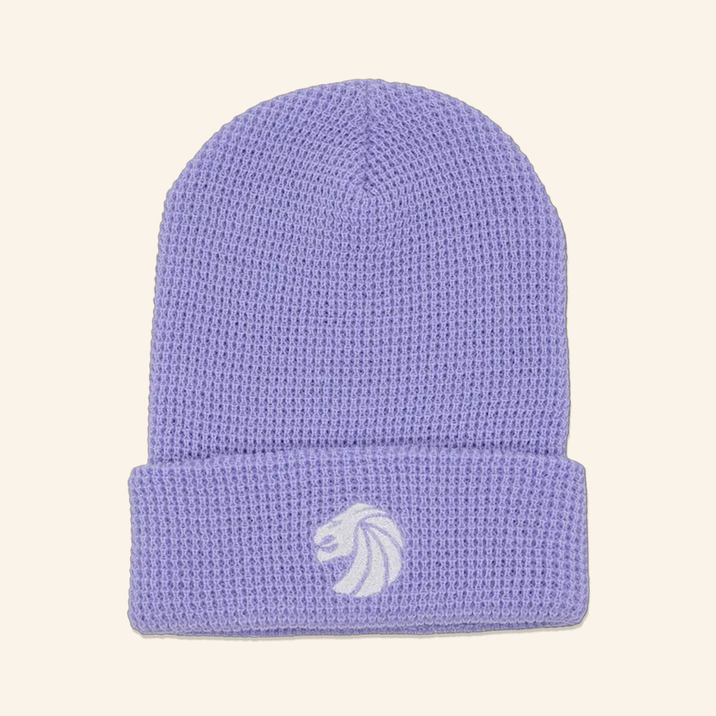 Seven Lions Merch Seven Lions Logo Embroidered Beanie Gifts Ideas For Wife