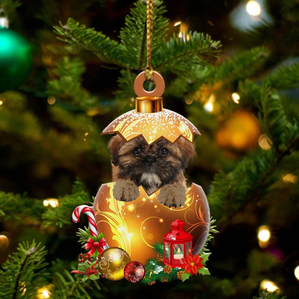 Shih Tzu In in Golden Egg Christmas Ornament Flat Acrylic Dog Ornament
