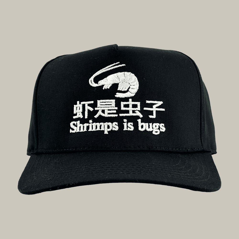 Shrimps Is Bugs Hat Chinese Words Art Cap Unique Gift For Chinese Learners