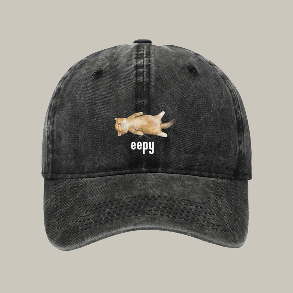 Silly Sleepy Cat Meme Washed Cap Funny Baseball Cap Cat Gifts For Him Her