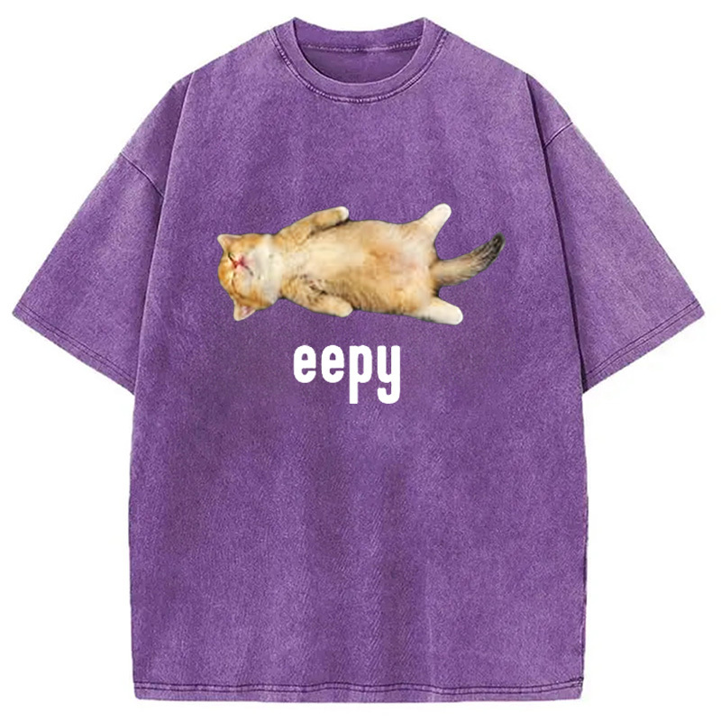 Silly Sleepy Cat Meme Washed T-Shirt Everyday Comfort Graphic Shirt Gifts For Besties