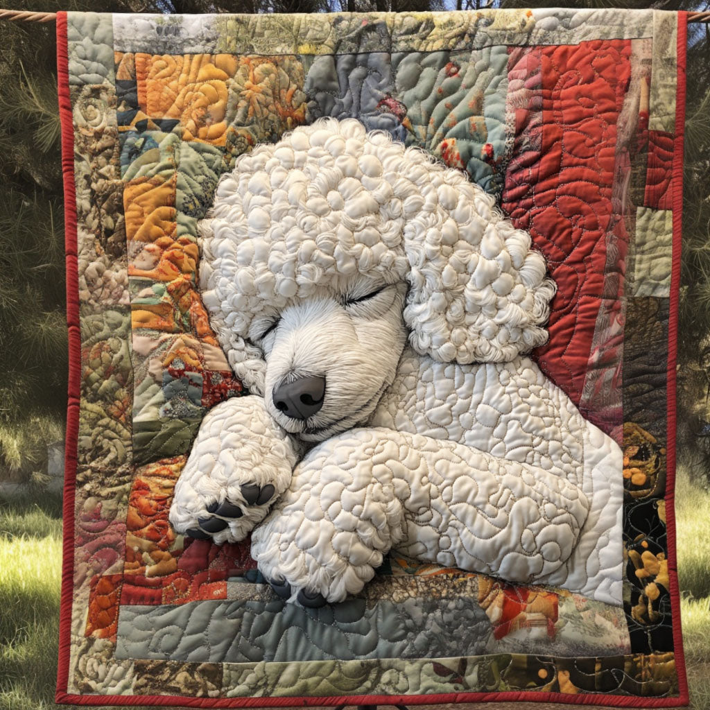 Sleeping Beauty Quilted Blanket Best Couch Throw Blanket Poodle Christmas Gifts