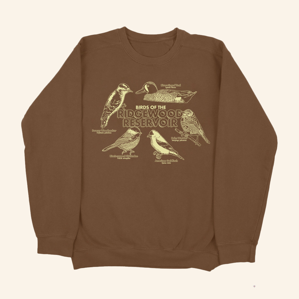 Small Orbit Merch Birds Of The Ridgewood Reservoir Sweatshirt Great Gifts For Mom Small Orbit Merch Birds Of The Ridgewood Reservoir Sweatshirt Great Gifts For Mom