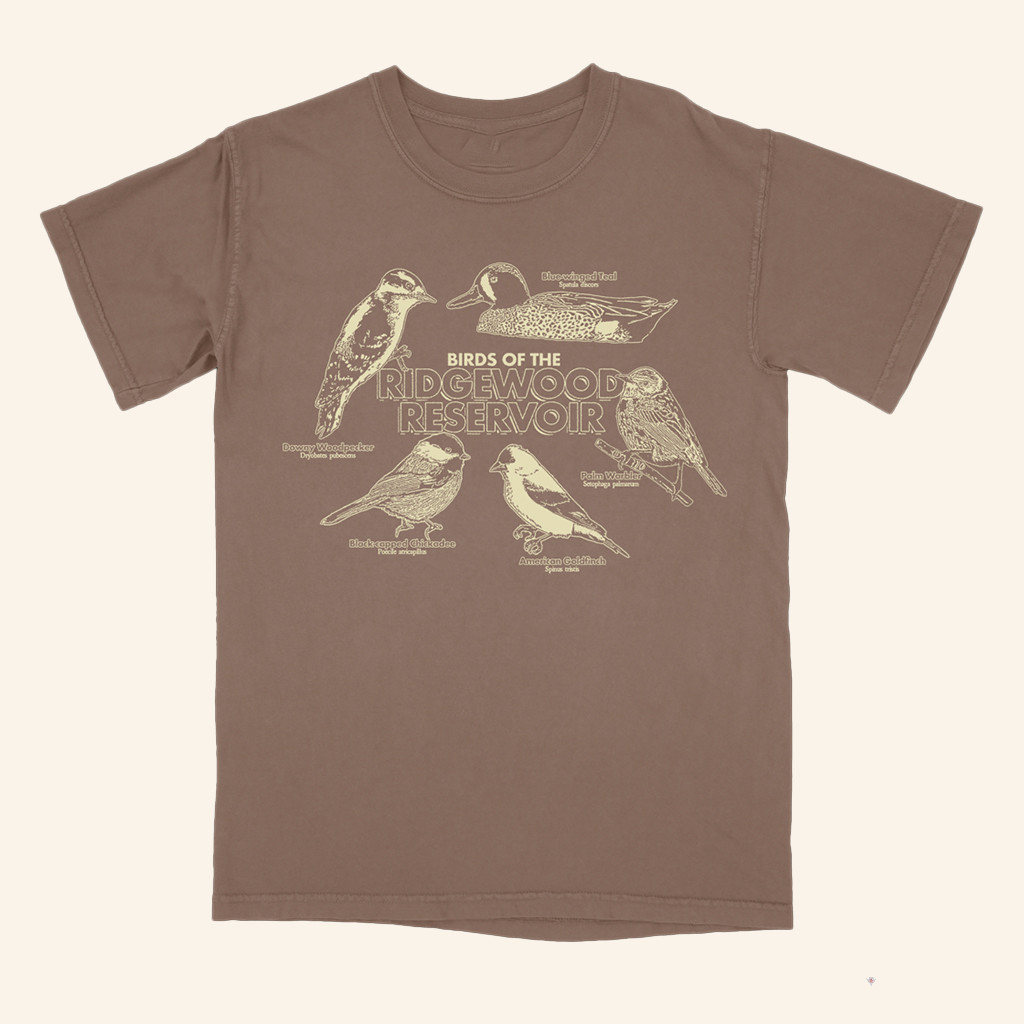 Small Orbit Merch Birds Of The Ridgewood Reservoir T-Shirt Unique Gifts For Him Small Orbit Merch Birds Of The Ridgewood Reservoir T-Shirt Unique Gifts For Him