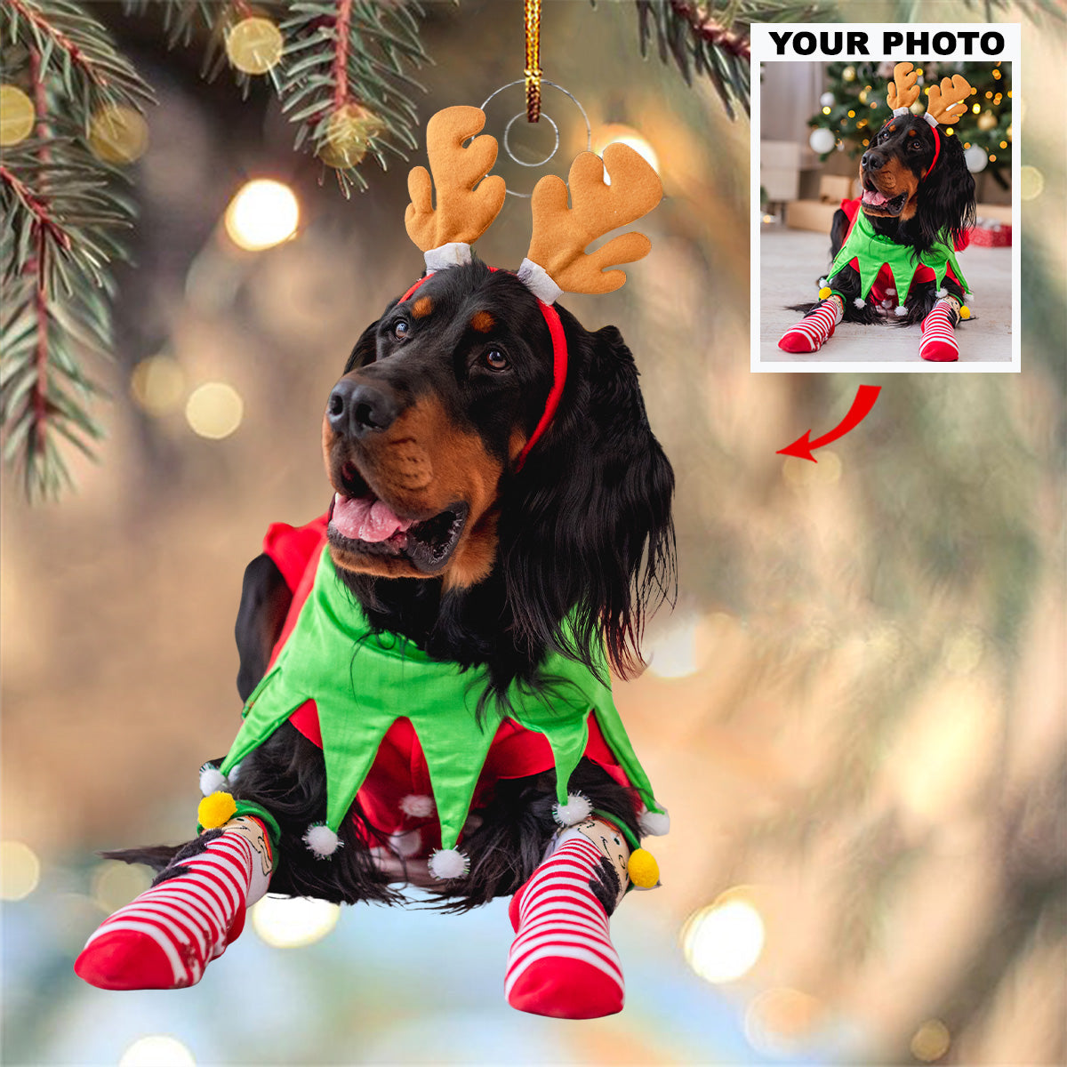 Snowy Smiles Personalized Photo Mica Ornament Gift For Pet Lovers Pet Owners Family Me