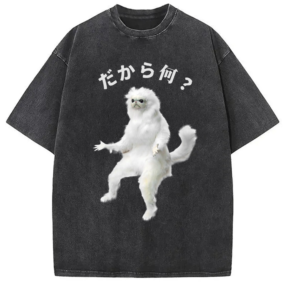 So What White Cat Meme Washed T-Shirt Funny Aesthetic Trendy Apparel Gifts For Her