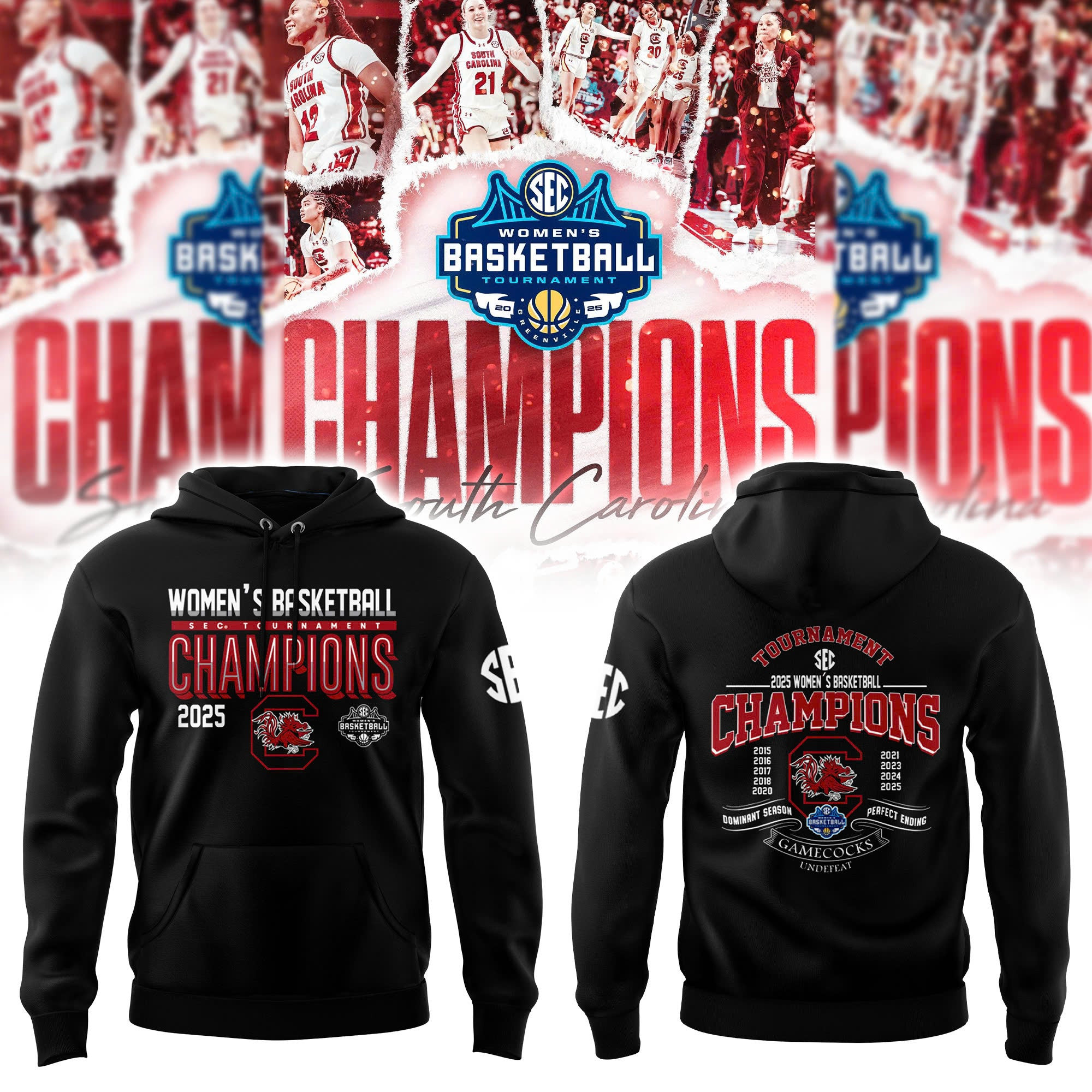 South Carolina Gamecocks Women's Basketball SEC Champions Hoodie 2025 Best Fan Gift Ideas