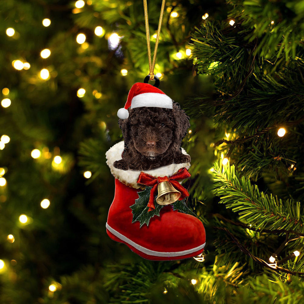 Spanish Water In Santa Boot Christmas Two Sided Ornament