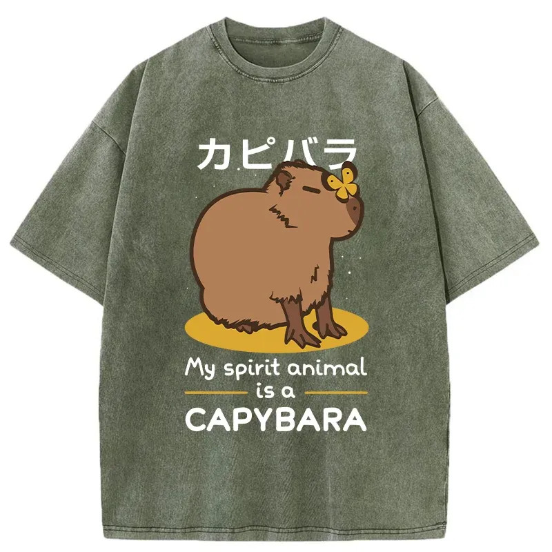 Spirit Animal Capybara Washed T-Shirt Funny Graphic Gift For Friends Gifts For Her