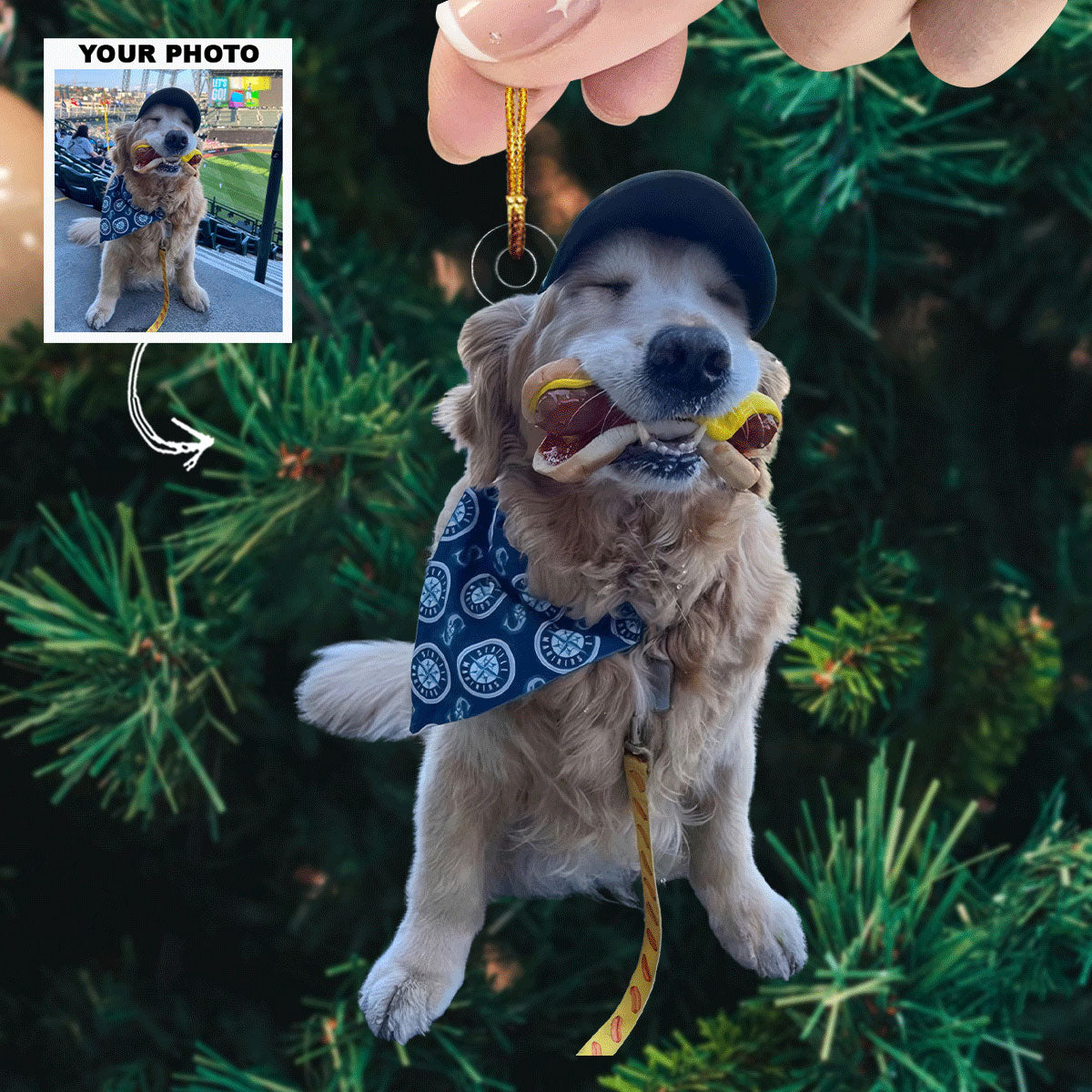 Stadium Snack Personalized Photo Mica Ornament Gift For Dog Lovers Dog Owners