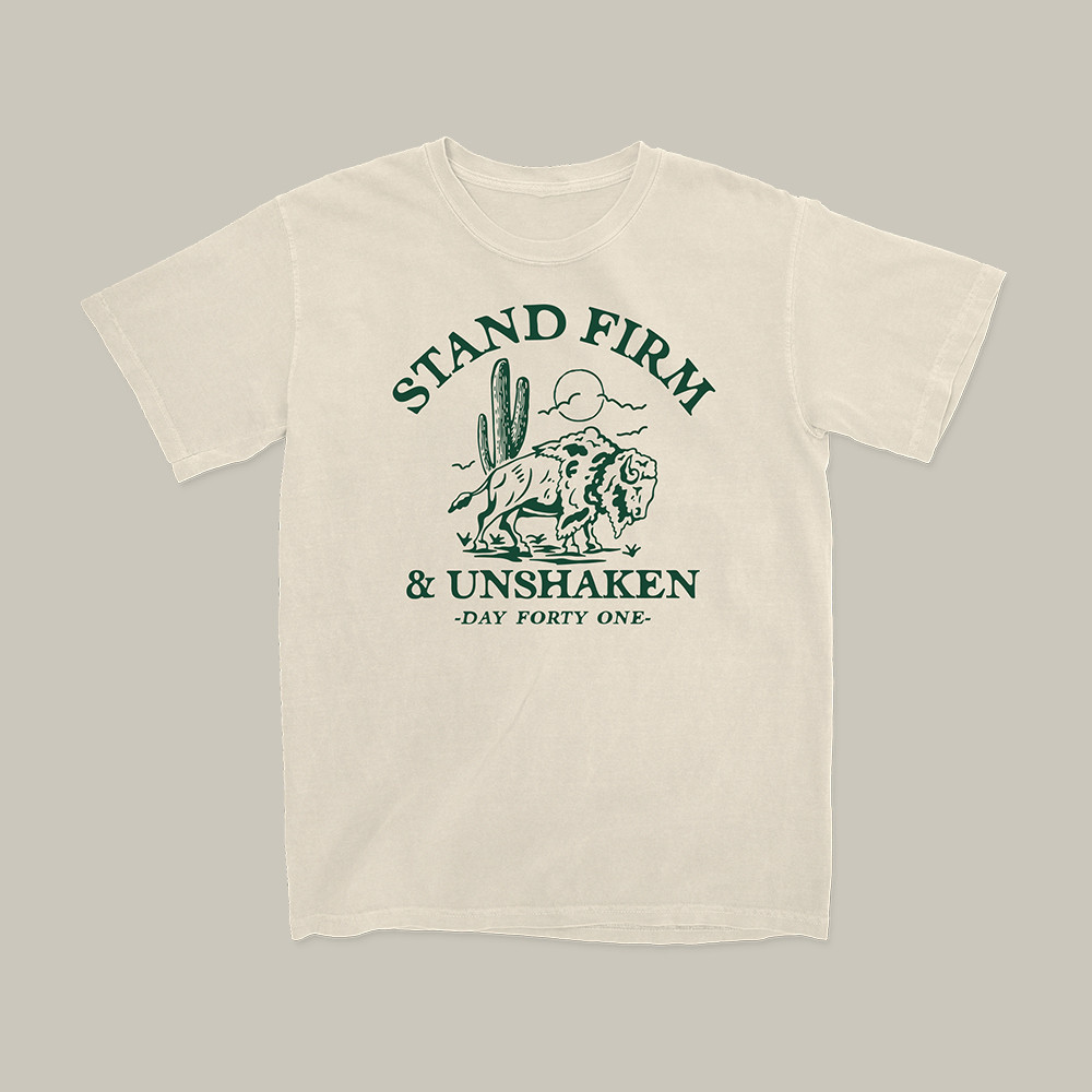 Stand Firm Day Forty One T-Shirt Bison Graphic Christian Themed Shirt Faith Gift For Men
