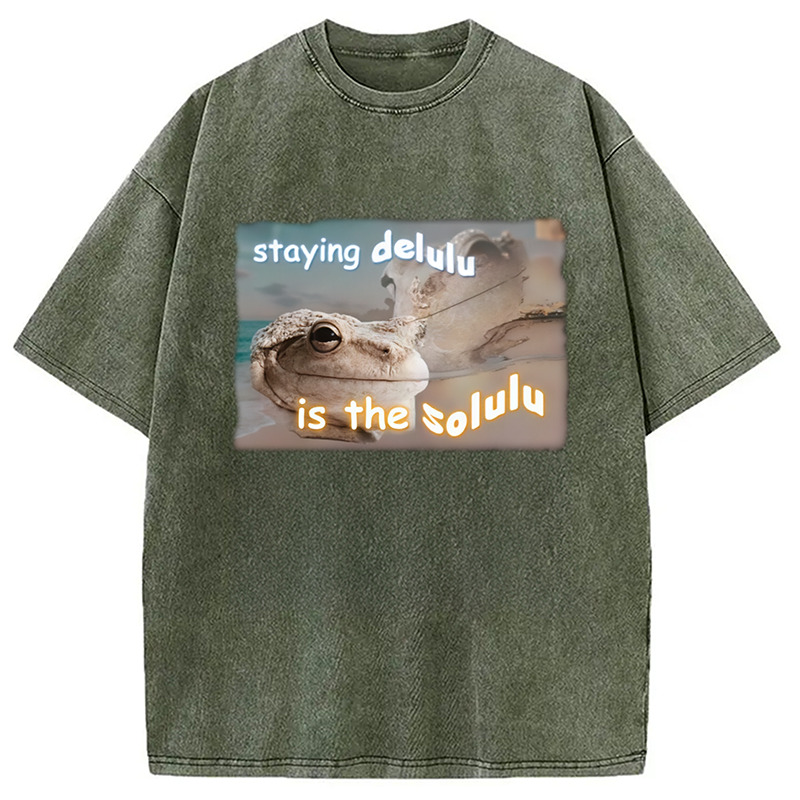 Staying Delulu Is The Solulu Frog Meme Washed T-Shirt Funny Graphic Gift For Friends Gifts For Sister