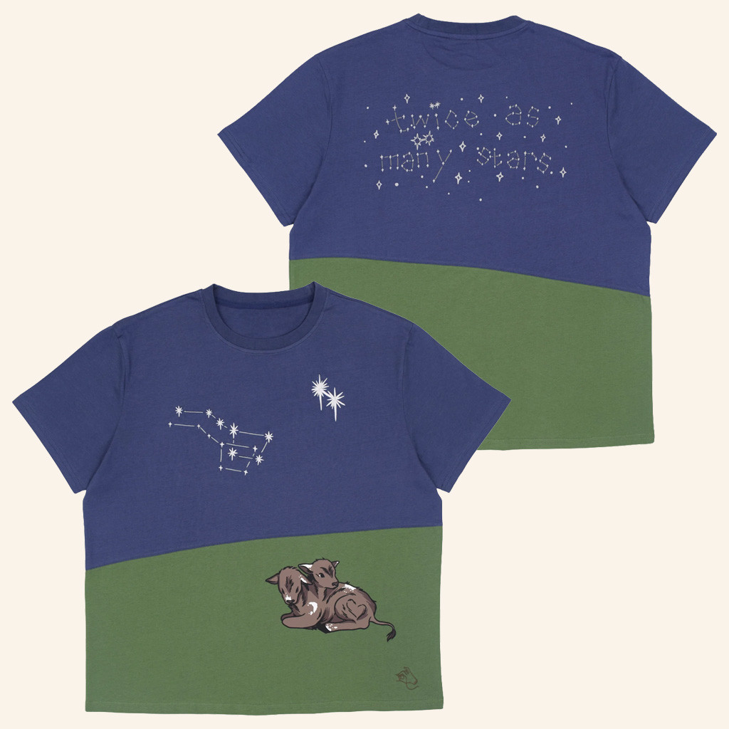 Steady Hands Merch Twice As Many Stars T-Shirt Good Gifts For Friends